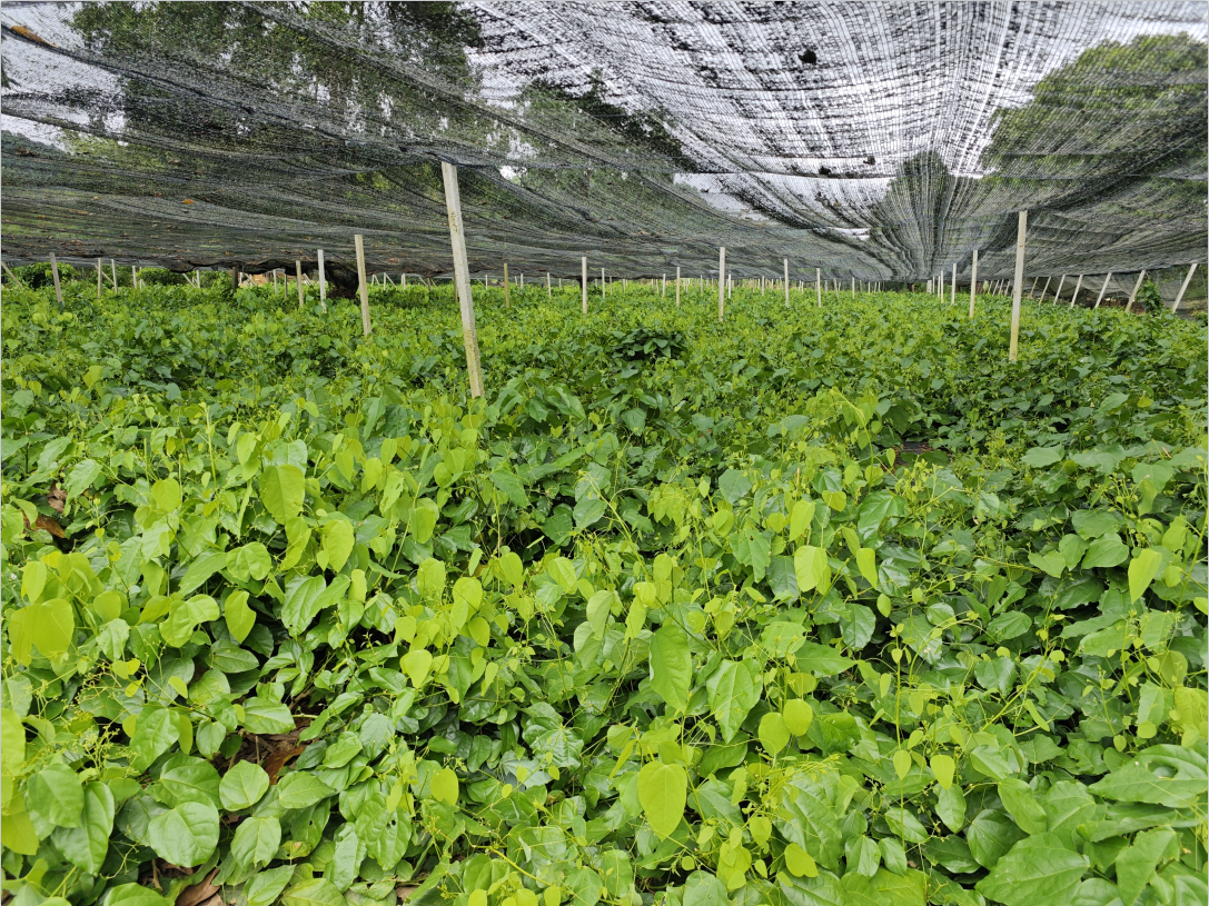 1722334355307275.png image.png