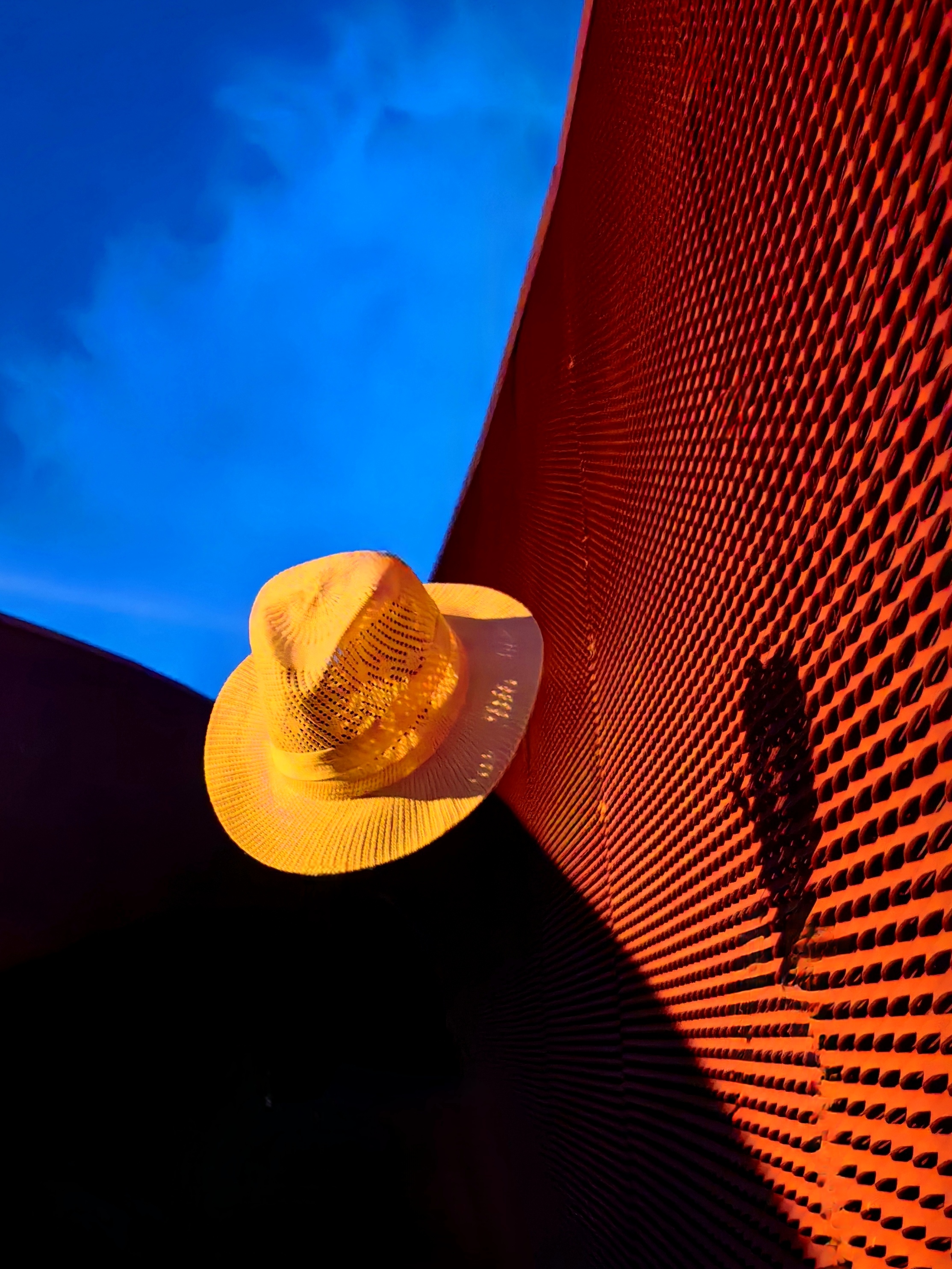 1751255846325297.jpg 平平《想飞的帽子》.jpg