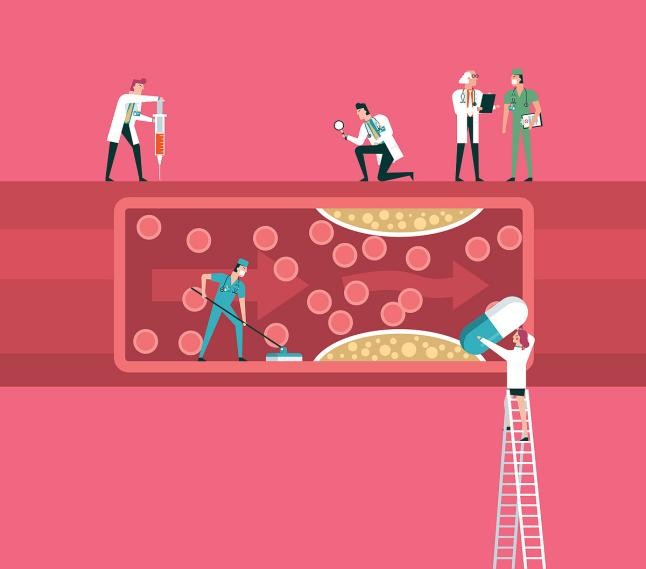 双还原辅酶科技重塑心血管养护新标准——赛立复血管黄金升级版