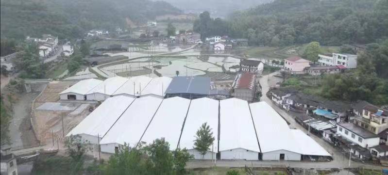 万企兴万村 浙商在行动——江西省浙江总商会乡村振兴帮扶纪实