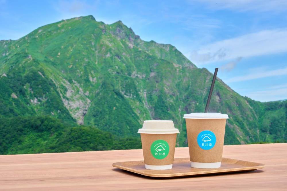 今年流行coolcation?躲进22度的夏天里