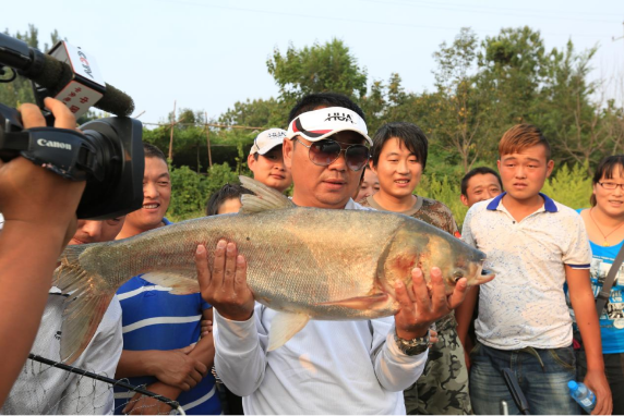 钓技革命：崔秉亮与单饵钓鲢鳙的传奇