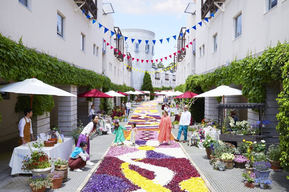 risonare 山梨八岳-花开回廊