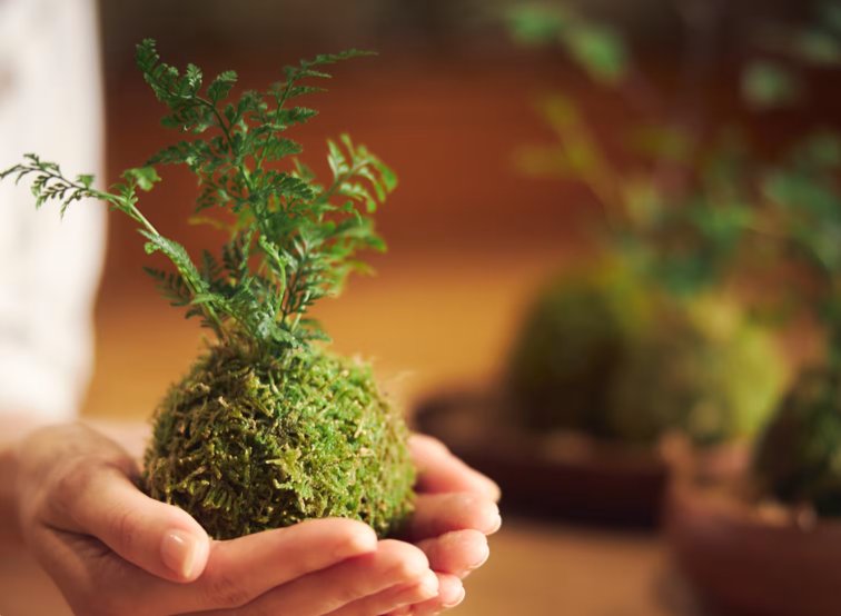 微信图片_2025-07-23_160640_306